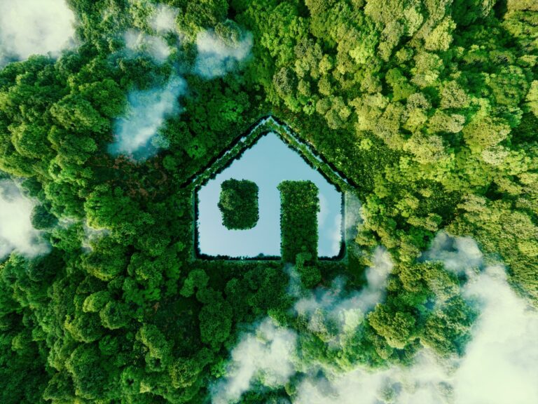 Thumbnail for Green Home Improvements on Hold